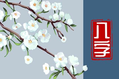 时柱常作子女宫
